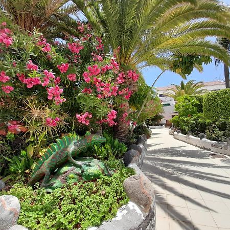 Parque Don Jose 390 Διαμέρισμα Arona  Εξωτερικό φωτογραφία